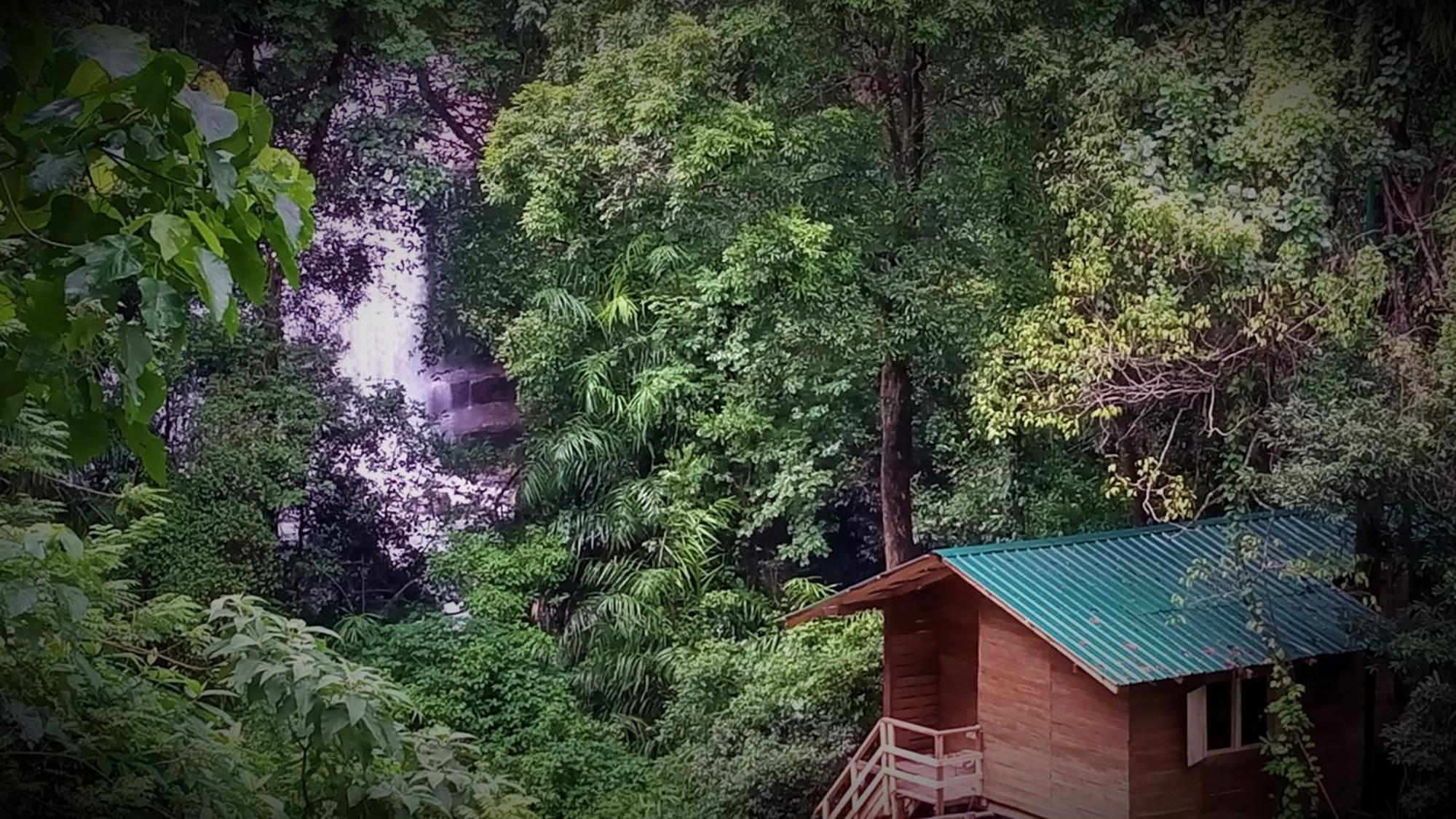 Chalet In The Jungle Pallegama Exterior foto